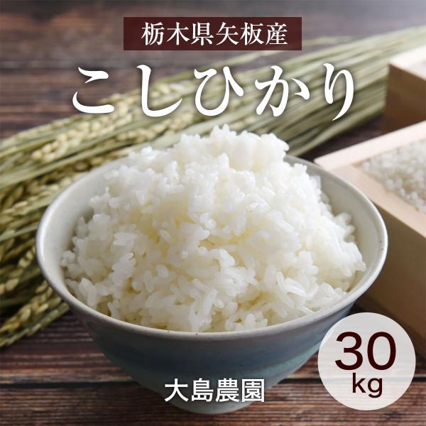 米 【大島農園】 こしひかり 玄米30kg 白米精米可能 令和7年産 《2025年10/中旬より出荷》