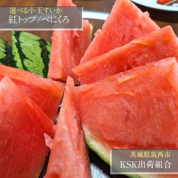 スイカ 小玉スイカ 【KSK出荷組合】 紅トップ べにくろ 2L 好き