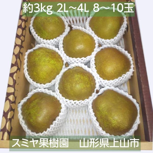 人気商品の洋なしラフランス約5kg 秀2L〜4L 14〜18玉山形県上山市洋梨ラフランスgra-isaco.com 人気商品の洋なしラフランス約5kg 秀2L〜4L 14〜18玉山形県上山市洋梨ラフランスgra-isaco.com
