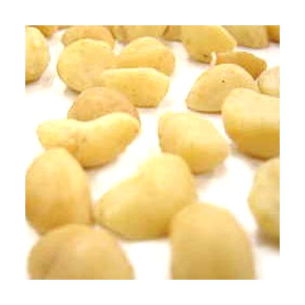 }J_~Aibcn[t [Xg 500g(퉷)