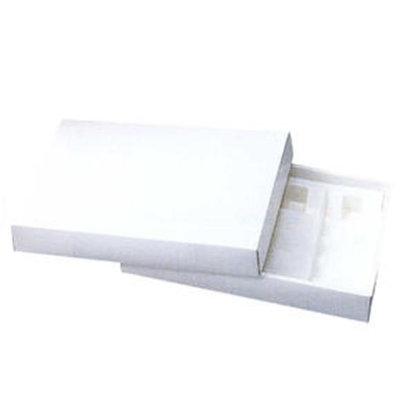 (\񏤕i)V P[L eB[^C zCg 10p 25(퉷)