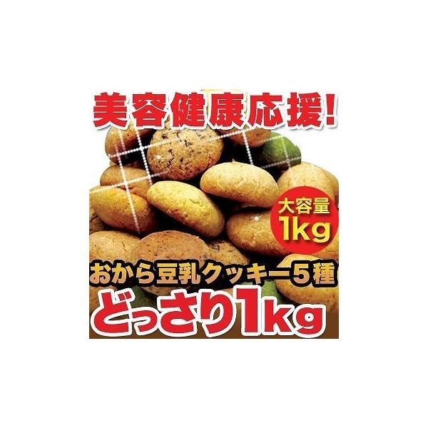 おから 豆乳ソフトクッキー 1kg 新感覚満腹豆乳おからソフトクッキー クッキー 豆乳 焼菓子 洋菓子 お菓子 おやつ やわらか ダイエットクッキー 送料無料