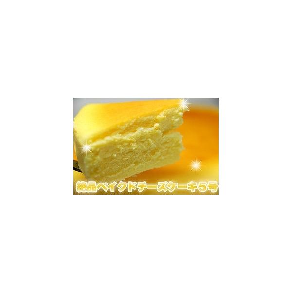 ベイクドチーズケーキ オセアニアチーズ 5号 ホールケーキ バースデーケーキ 誕生日 冷凍商品