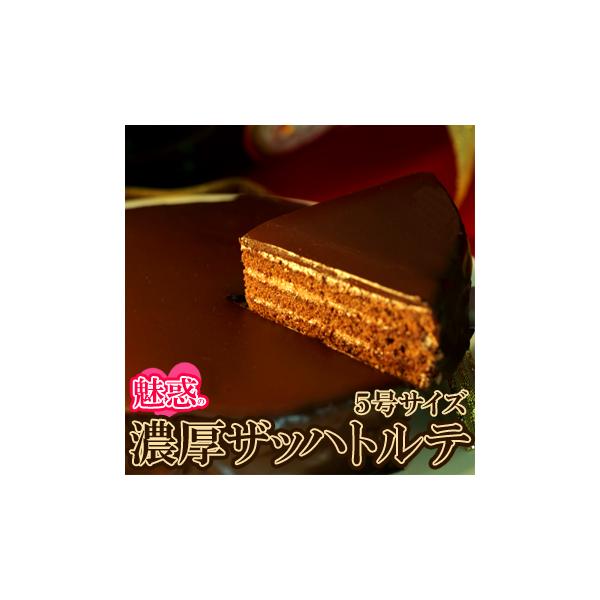 ザッハトルテ 贅沢チョコレート 5号 誕生日ケーキ ガナッシュ ホールケーキ スイーツ 冷凍商品 送料無料