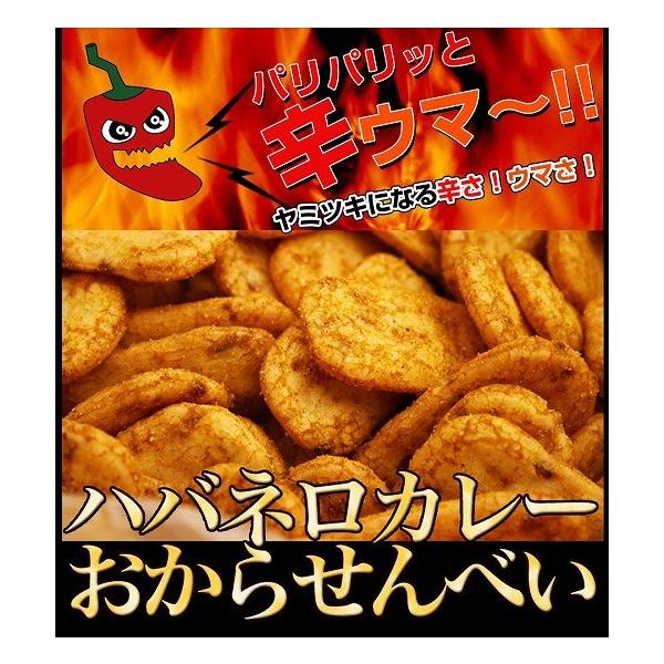 訳あり スイーツ お買得 ハバネロカレーおから煎餅 送料無料 訳あり スイーツ お菓子 蒲屋忠兵衛商店011 スイーツ王国 Buyee Buyee Japanese Proxy Service Buy From Japan Bot Online