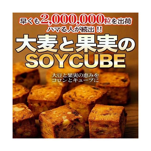 唞Ɖʎ̃\CL[u 800g@ 󂠂 XC[c َq qX@sgp _CGbg Hi َq TCY hCt[c