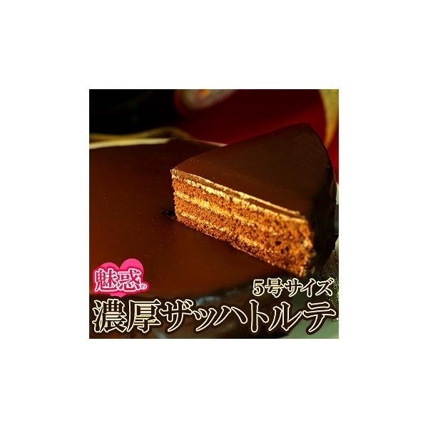 Ubnge ґ`R[g 5 aP[L KibV z[P[L XC[c  Ⓚi