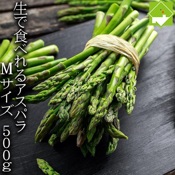 [Release date: April 5, 2026]産地：北海道富良野産名称：アスパラガス内容量：500ｇサイズ：Mサイズ（１本約１０ｇ前後）*******************配送時期４月上旬から５月下旬*************...