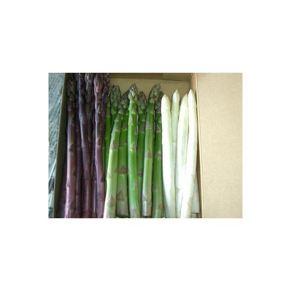アスパラ 北海道 富良野産 グリーン ホワイト ラベンダーアスパラ ３種類セット５００ｇ 送料無料 Buyee Buyee Japanese Proxy Service Buy From Japan Bot Online