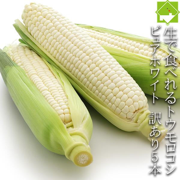 白いとうもろこし 訳あり 北海道 富良野産 ピュアホワイト ５本 送料無料