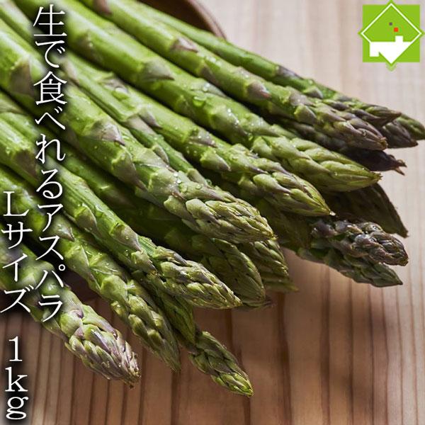 [Release date: May 23, 2026]*************************　出荷予定日5月2日前後から6月30日前後配送日のご指定はできません。Ｌサイズ：1本20g前後別途送料が発生する地域がございます。**...