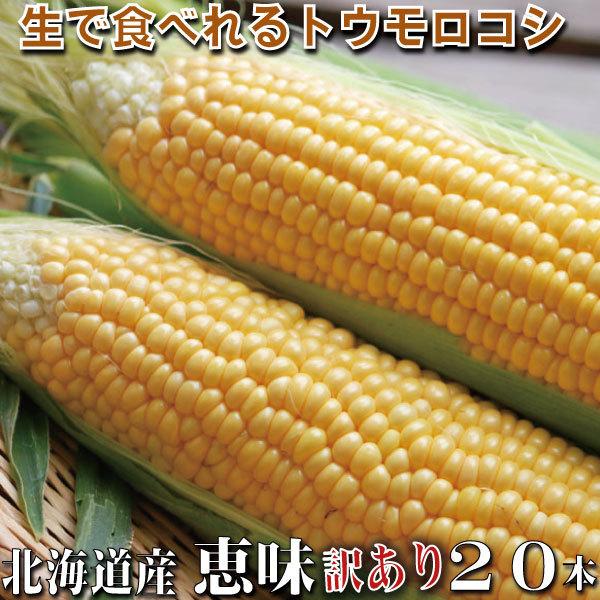 とうもろこし 訳あり 恵味 小さいサイズになります M ｌ 本入り 北海道富良野産 送料無料 別途送料が発生する地域があります Megumiwake スイートベジタブルファクトリー 通販 Yahoo ショッピング