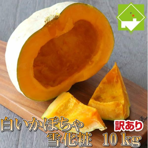 ڂ  󂠂 10kg kCY ቻ