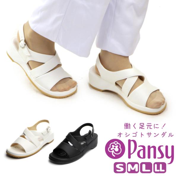 T_ pW[ pansy fB[X HN5302 i[XT_ NXfUC 2203 d