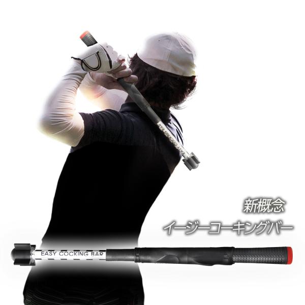 Training Bat ホワイト/ブルーゴルフ素振り Training Bat ホワイト/ブルーゴルフ素振り