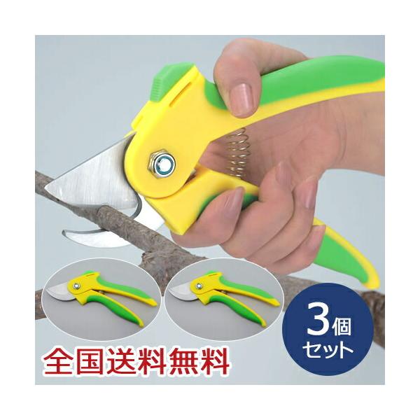 yJ͂ \͂ ԗp ΂ } K[fjO |pi ~ 3Zbg