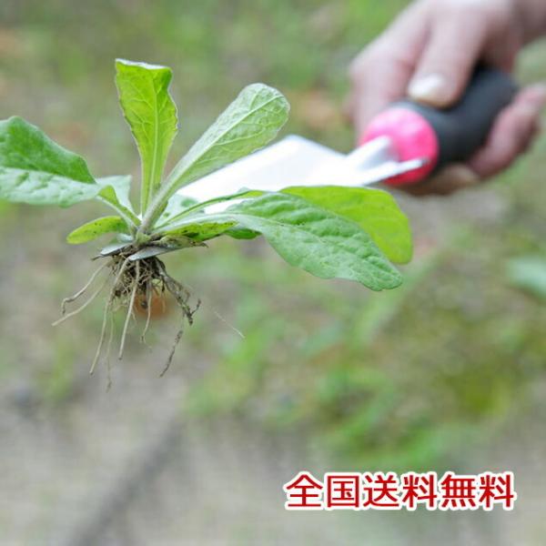 AւEl 䍪؂XRbv Vx XRbv K[fjO