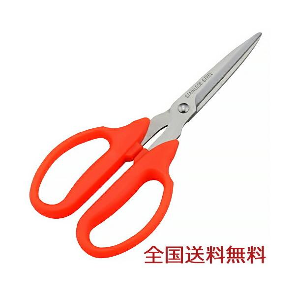 Ԃ͂(n^) A؂΂ | K[fjO