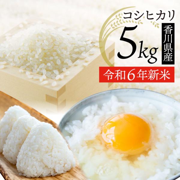 決まりました！バリ山ガリ傷無し美品！2017年製 ネクストリー 195
