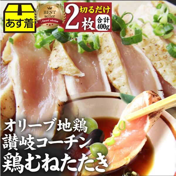  { ^^L Y I[un{ {ނ 2 тVN hg {h ܂ ]R[` Ⓚ 