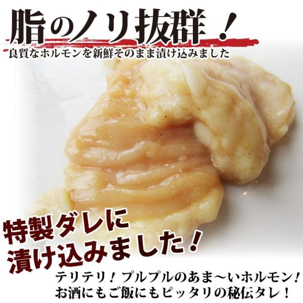 焼肉 牛肉 肉 ホルモン テッチャン モツ シマチョウ 250g バーベキュー 焼くだけ オマケ付き 送料無料 当日発送対象 Buyee Buyee Japanese Proxy Service Buy From Japan Bot Online