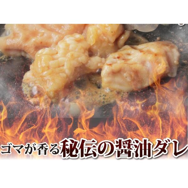 焼肉 セット 牛肉 肉 ホルモン 牛テッチャンシマチョウ モツ 250g 焼肉用 ｂｂｑ Bbq バーベキュー 秘伝 タレ漬け 焼くだけ 行楽 レジャー 当日発送対象 Buyee Buyee Japanese Proxy Service Buy From Japan Bot Online