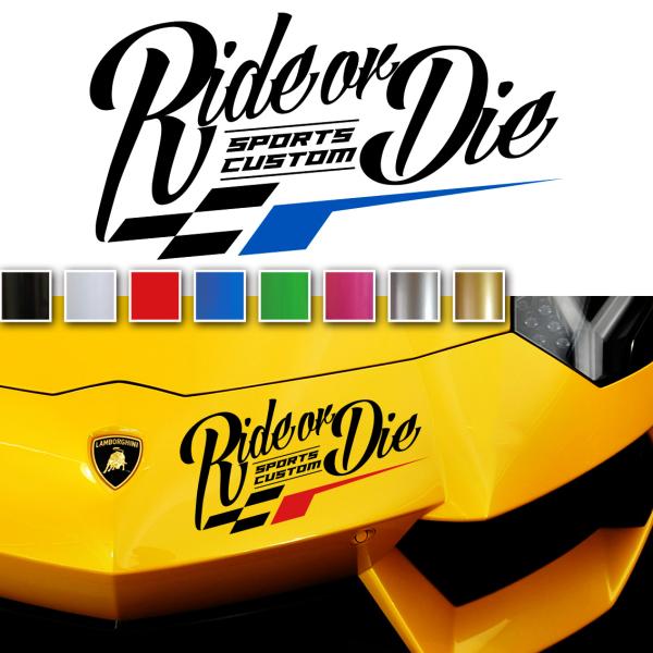 Elitewheers DRIVE 40D 超美品　シルバーデカール Elitewheers DRIVE 40D 超美品 シルバーデカール