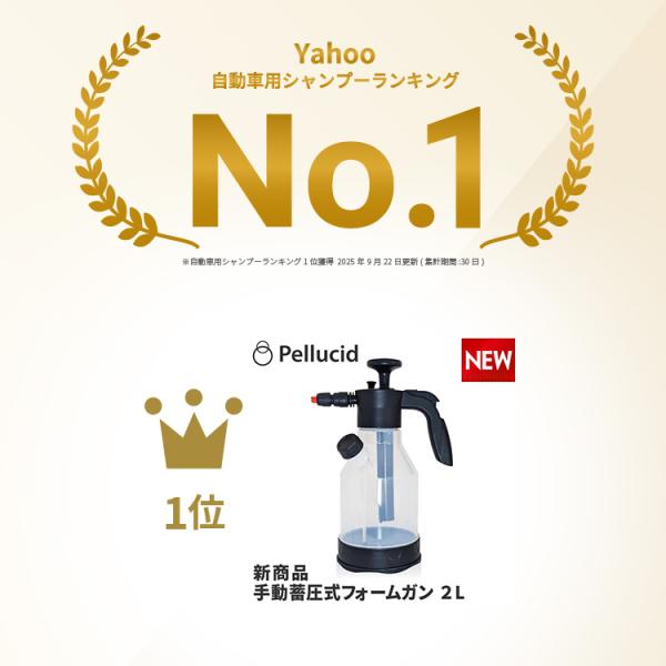 syatihoko_pcd-219_1_d_20250922095812