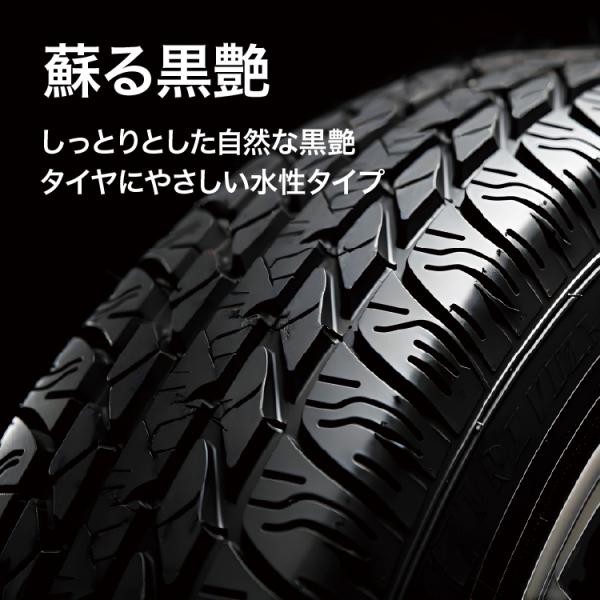 syatihoko_pcd-501_1_d_20240315162535