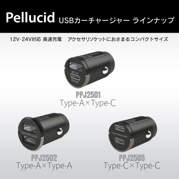 syatihoko_ppj2502_6_d_20241105112403