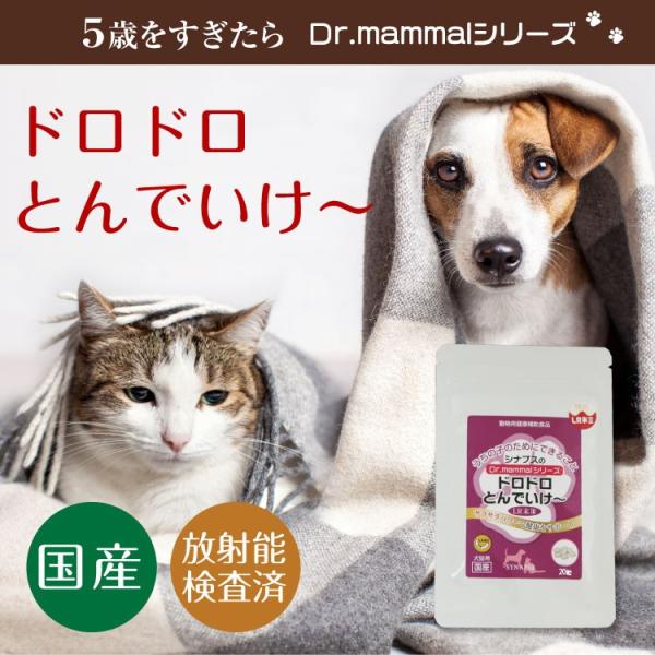 ドロドロとんでいけ 粒入り 体重8kgで約10日分 ペット用ｌｒ末 ミミズ食品 犬 猫 サプリメント ペットサプリ 老犬 老猫 メール便送料無料 Buyee Buyee Japanese Proxy Service Buy From Japan Bot Online