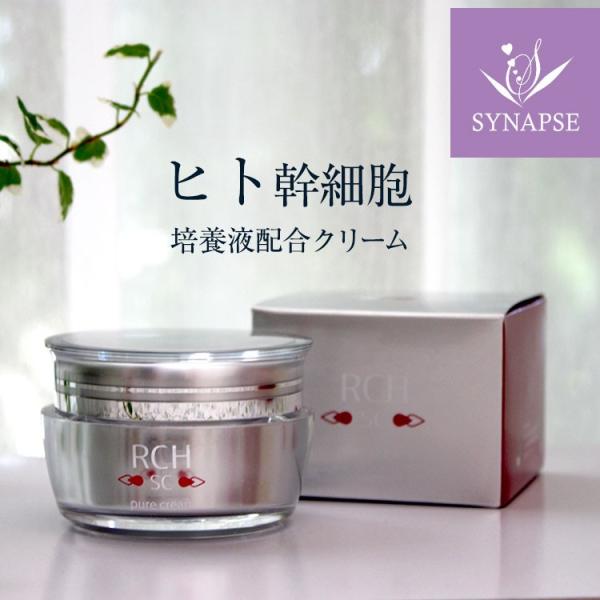 synapse_rch-cream-01