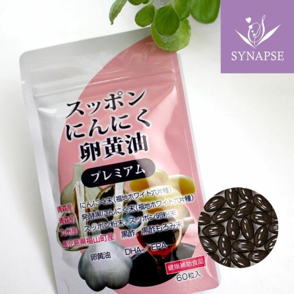 人気成分 すっぽん黒酢 にんにく卵黄 一粒にギュッと凝縮！手軽にパワーチャージすっぽん にんにく 卵黄油 黒酢 福地六片にんにくスタミナ 黒にんにく