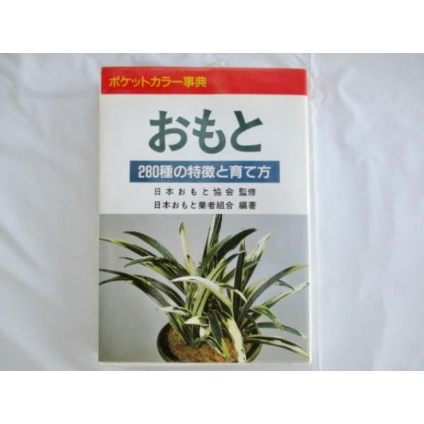 万年青 おもと ３６０種の特徴と育て方 Gj 万年青 庄おもと園 通販 Yahoo ショッピング