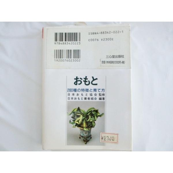 万年青 おもと ３６０種の特徴と育て方 Buyee Buyee Japanese Proxy Service Buy From Japan Bot Online