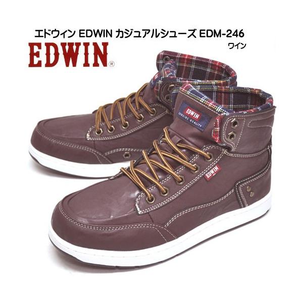 edm 自転車