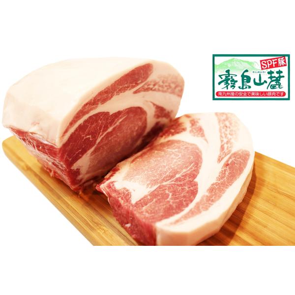 R[ [X 1000g@SPF|[N Ɩp ①i (ubN) Y {茧Y