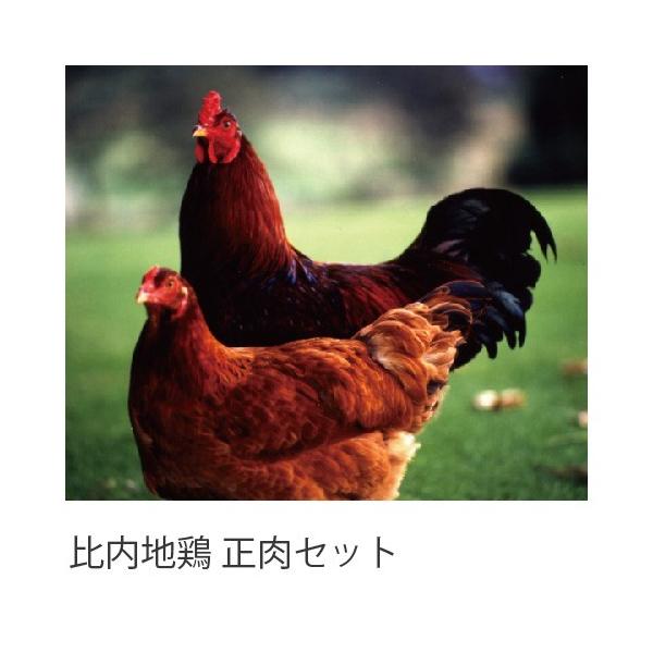 Yn{ n{ Zbg 1kg`1.2kg HcY { ①i Ɩp