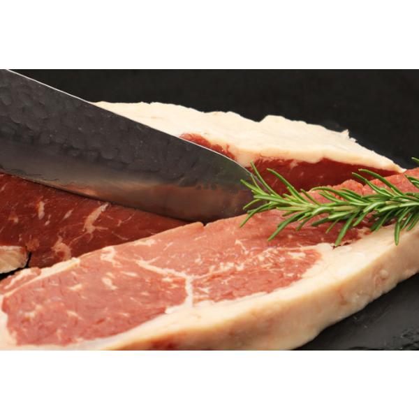 T[CubN 1kg  I[W[r[t ①  ubN Xe[L Ԑg g  [Xgr[t BBQ ē  Mtg 蕨 I[XgA