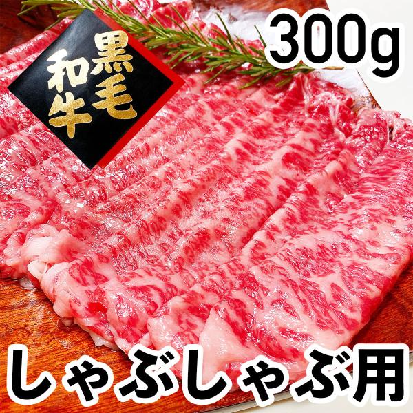 јa Ԃԗp i300gji①ij