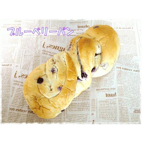  AbvpC̓X@wьƕ̎x@@"u[x[p"