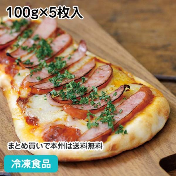 冷凍食品 業務用 ナン 100g×5枚入 22302 手のばし ナーン パン