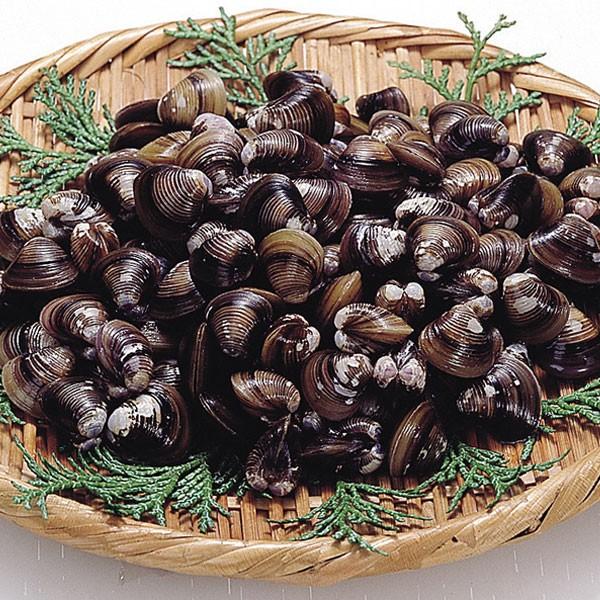 冷凍食品 業務用 冷凍殻付しじみiqf 1kg シジミ 蜆 椀種 和食 貝 カイ かい 食彩ネットクール便 通販 Yahoo ショッピング