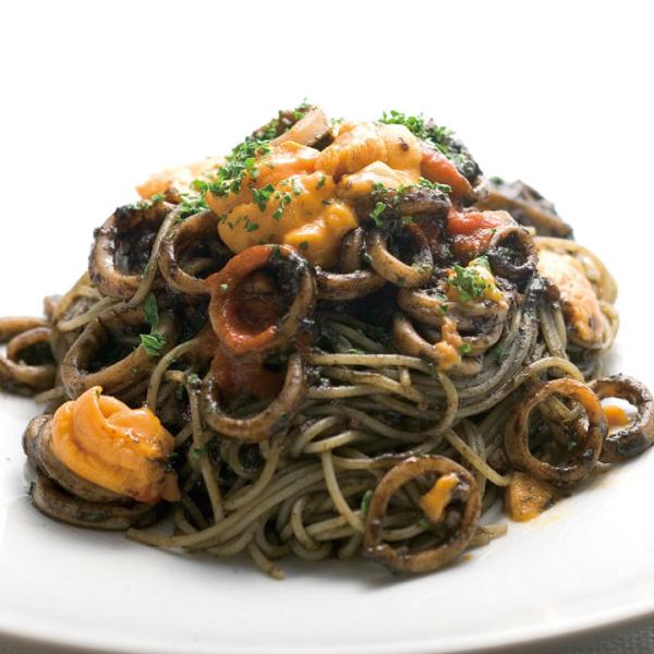 Ɩp ݃\[X 285g 105206 ʋl p  CJn Gn pX^\[X XpQeB\[X ]zHi