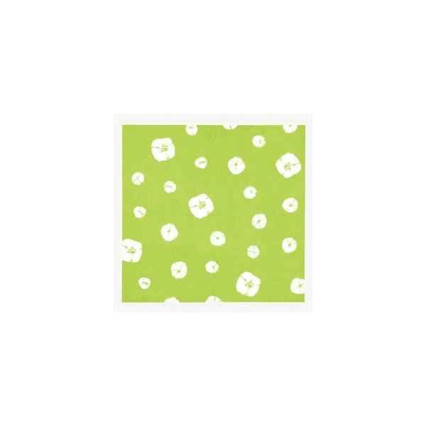 Ɩp sDzC~ 66piO[ 66p×20 15948 