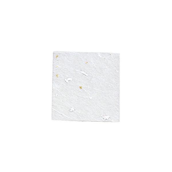 Ɩp NEWܐF 5FA\[g e 100 175019 