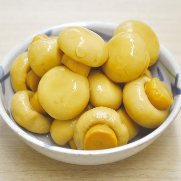 Ɩp }bV[ z[ 2(Ō`454g) 18414 ʋl  ̂ Jbg