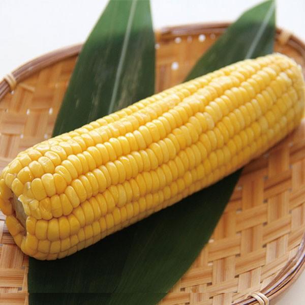 Ɩp XC[gR[ 1{(300g) 19577 冋o Ƃ낱 ggpbN