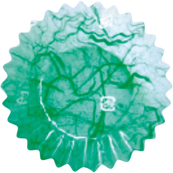 業務用 フィルムケース PET 6F 雲竜緑(500枚入) 1本 Y003920 飲食消耗品 飾り フィルムケース