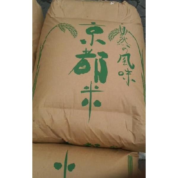 令和7年度産特A無洗米！京都丹波産コシヒカリ【無洗米2キロ】増量可能